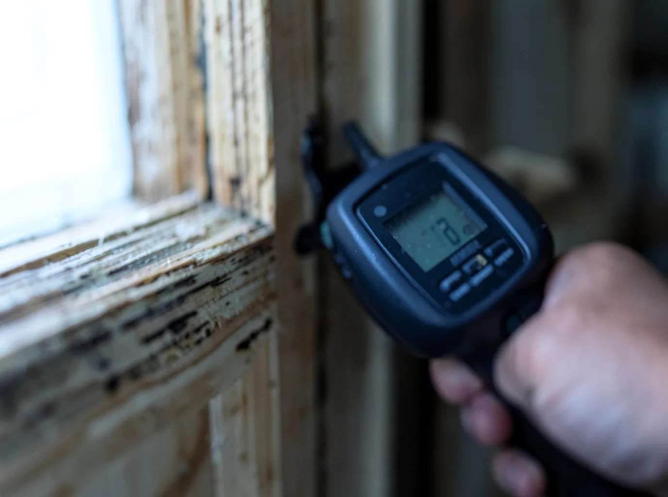 Moisture Inspection And Documentation in Bristol, TN